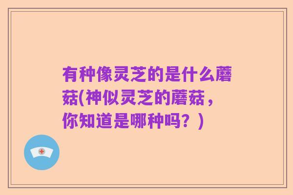 有种像灵芝的是什么蘑菇(神似灵芝的蘑菇,你知道是哪种吗?)