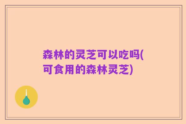 森林的灵芝可以吃吗(可食用的森林灵芝)