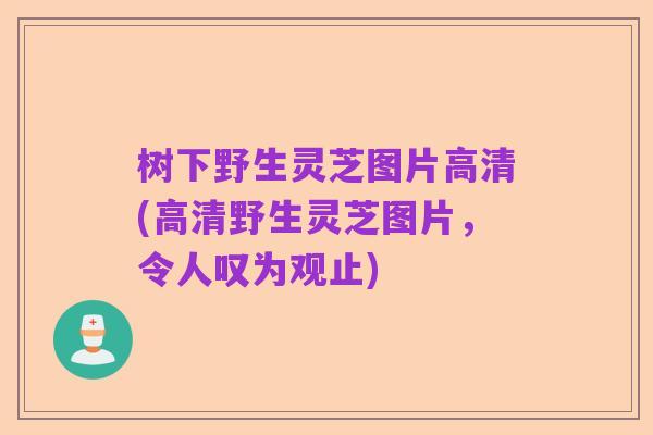 树下野生灵芝图片高清(高清野生灵芝图片,令人叹为观止)