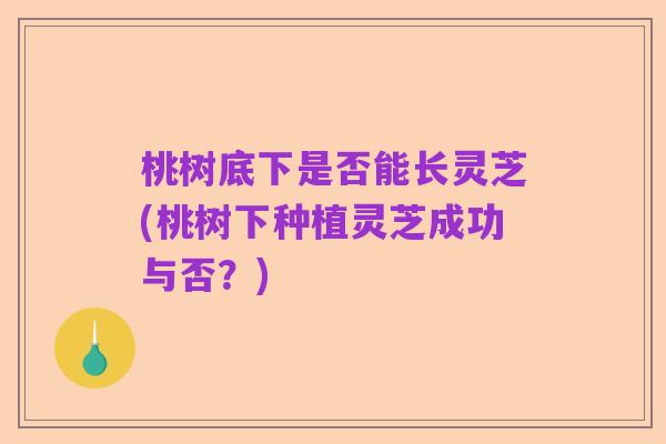 桃树底下是否能长灵芝(桃树下种植灵芝成功与否?)