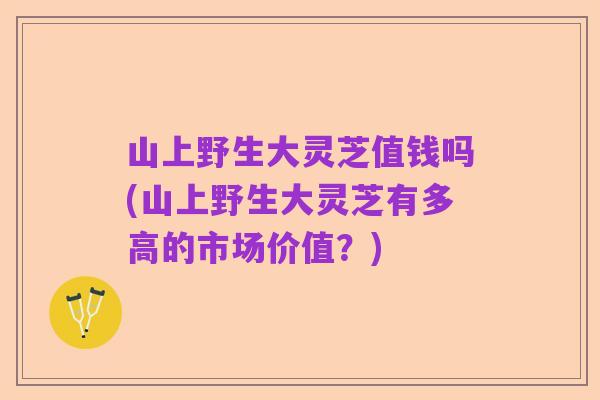 山上野生大灵芝值钱吗(山上野生大灵芝有多高的市场价值?)