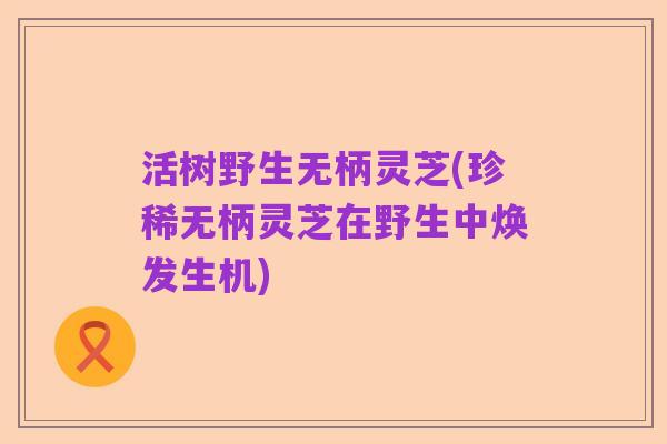 活树野生无柄灵芝(珍稀无柄灵芝在野生中焕发生机)