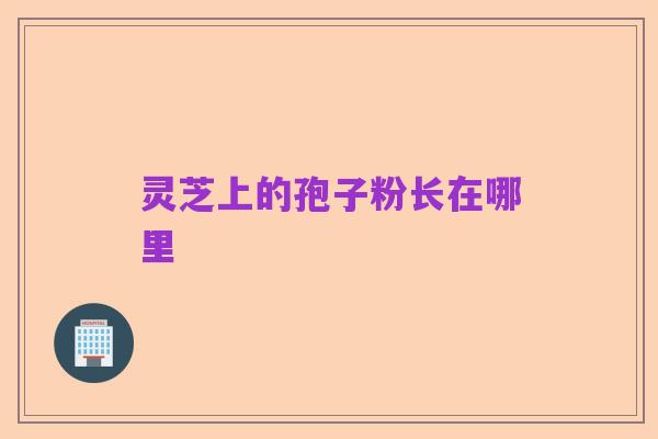 灵芝上的孢子粉长在哪里