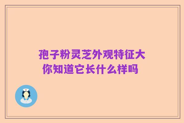 孢子粉灵芝外观特征大 你知道它长什么样吗