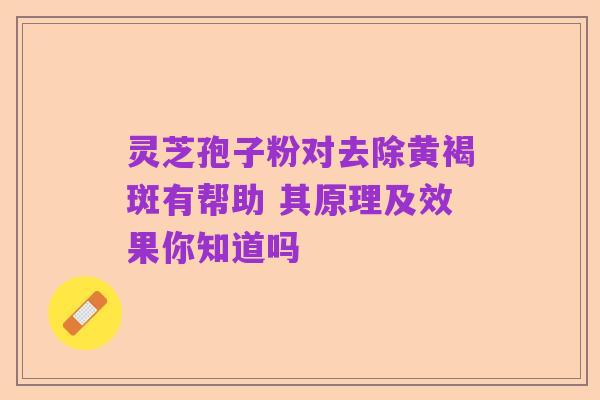 灵芝孢子粉对去除黄褐斑有帮助 其原理及效果你知道吗