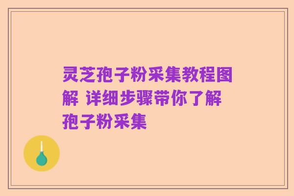灵芝孢子粉采集教程图解 详细步骤带你了解孢子粉采集