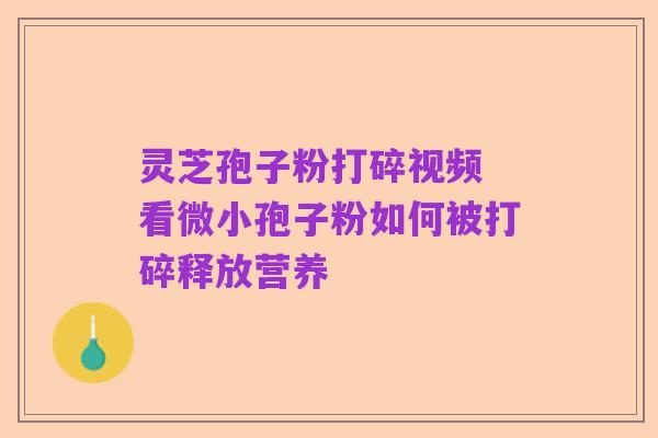 灵芝孢子粉打碎视频 看微小孢子粉如何被打碎释放营养