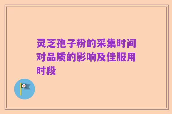 灵芝孢子粉的采集时间对品质的影响及佳服用时段