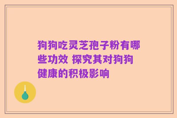 狗狗吃灵芝孢子粉有哪些功效 探究其对狗狗健康的积极影响