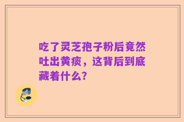 吃了灵芝孢子粉后竟然吐出黄痰,这背后到底藏着什么?